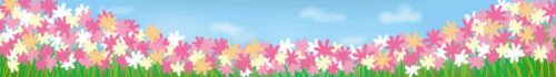 秋桜